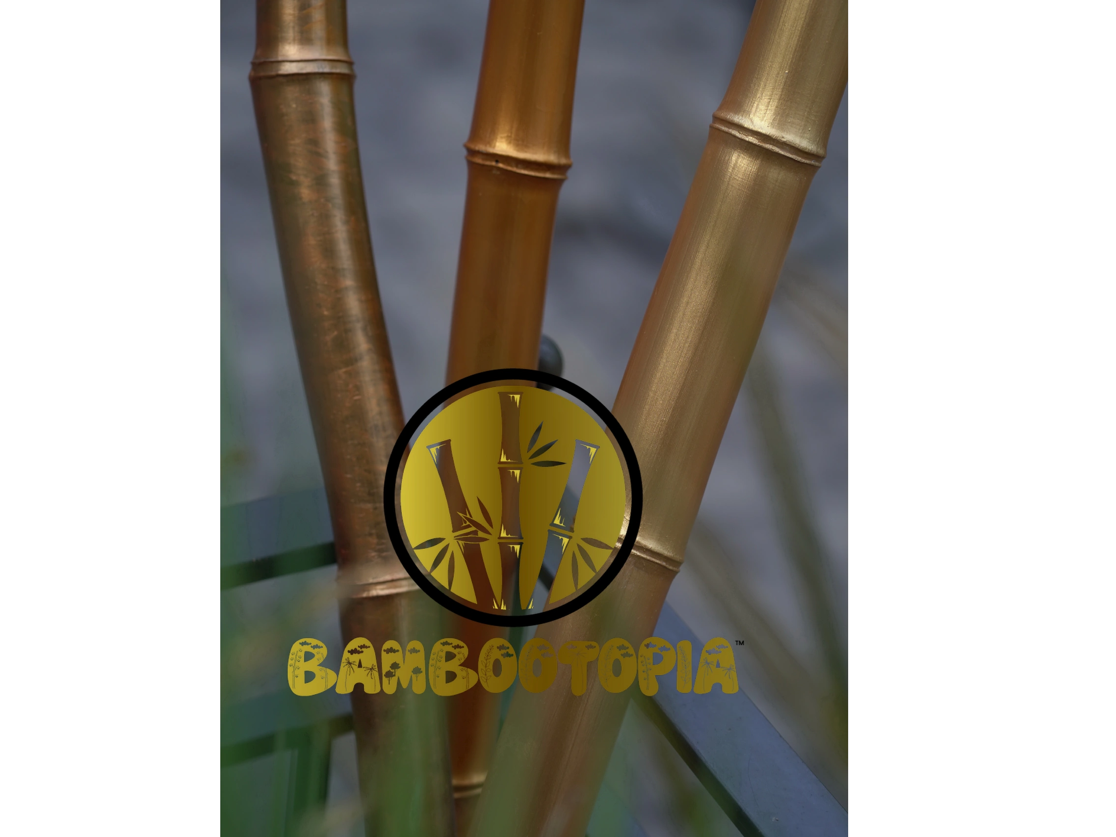 Enter into better living, we are a new health and wellness business offering bamboo products. 
