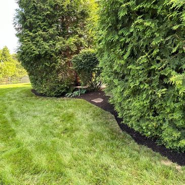 Lawn edging flowerbed and trees