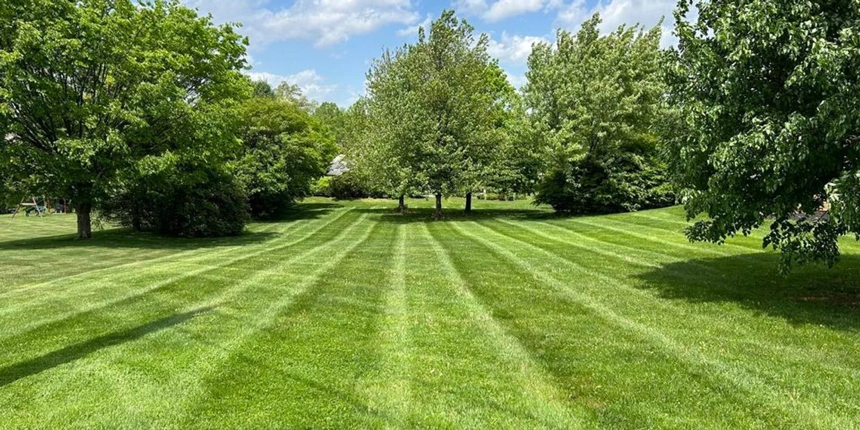 Backyard landscape professionally mowed