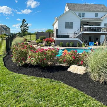 backyard landscape with flowering shrubs, boulders, and pool