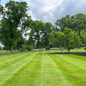 Backyard lawn professionally mowed