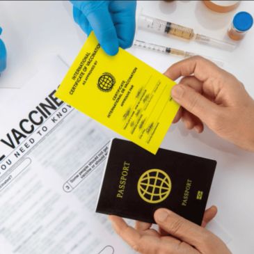 Person holding a vaccine card and passport.
