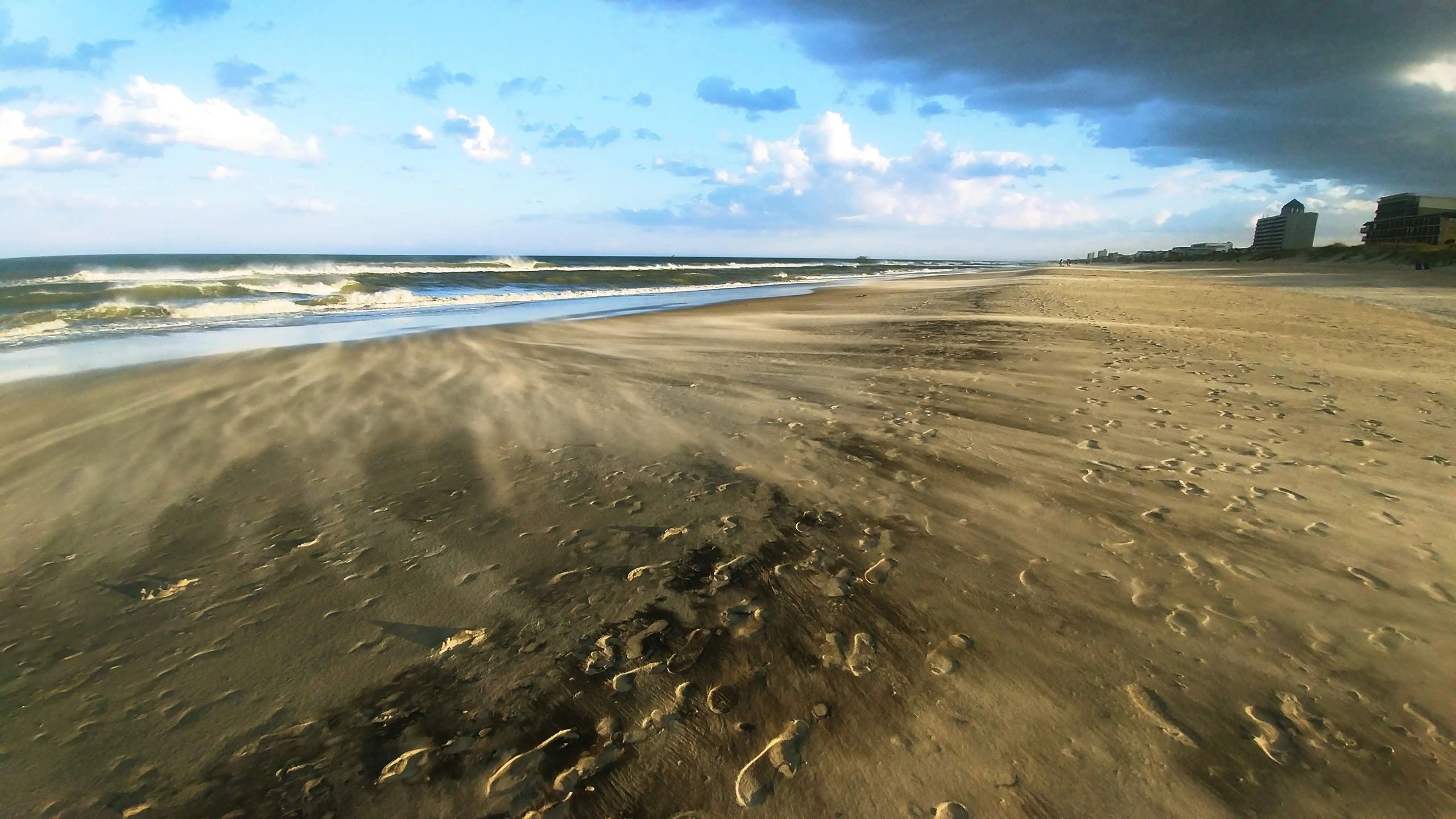 Meet Our Team | Carolina Coastal Marine