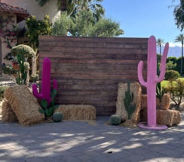 Western Chic Set Up