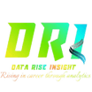 Data Rise Insight