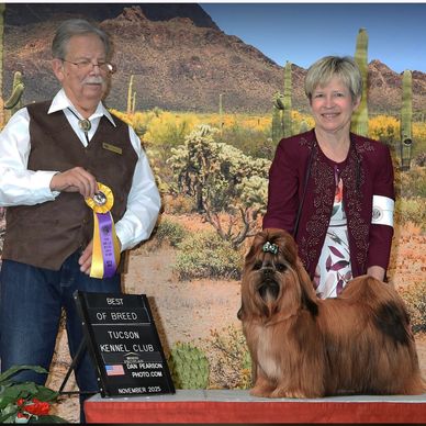 Desert High Tojo Midnight Max Nostalgia "Chip". Greater Sierra Vista KC. Nov. 17, 2025. Judge Vickie
