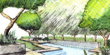 Construction design Pool and trees