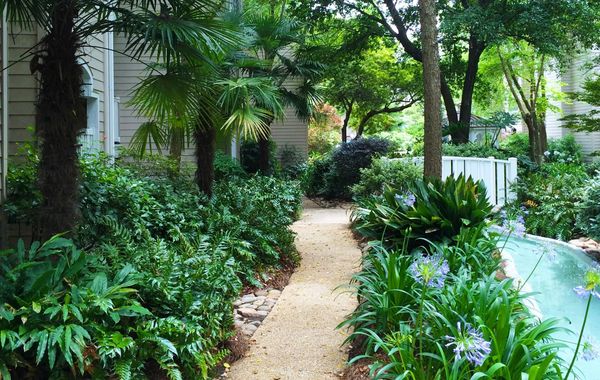Landscape architect
Metairie, LA
Covington, LA
Jefferson, LA
Mandeville, LA
New Orleans, LA
Biloxi 