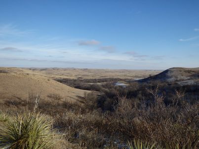 Grand Prairie Lodge photo 2
