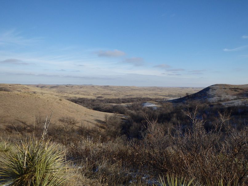 Grand Prairie Lodge photo 3