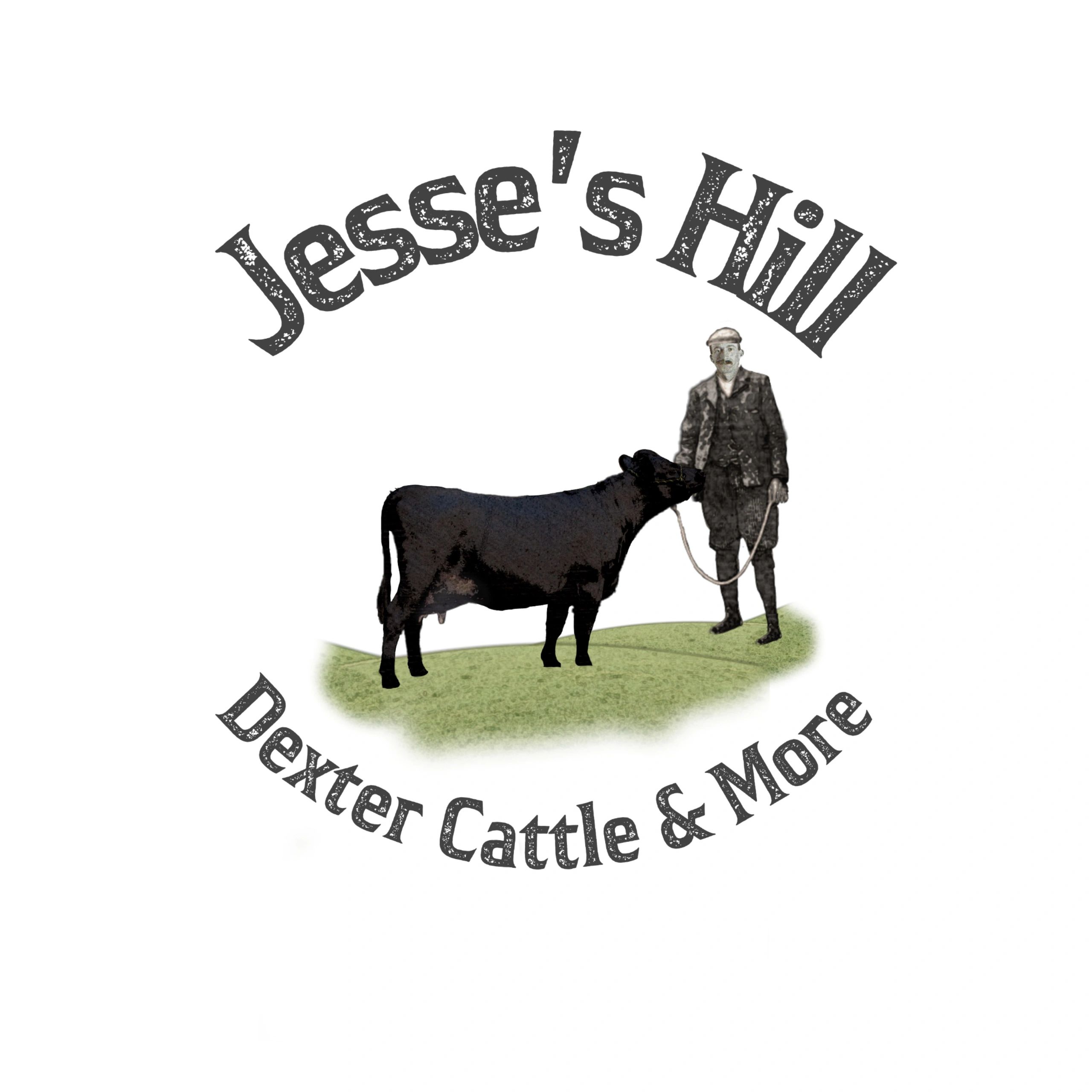 Gallery Jesse's Hill, Dexter Cattle and More