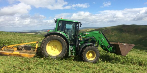 bracken cutting 