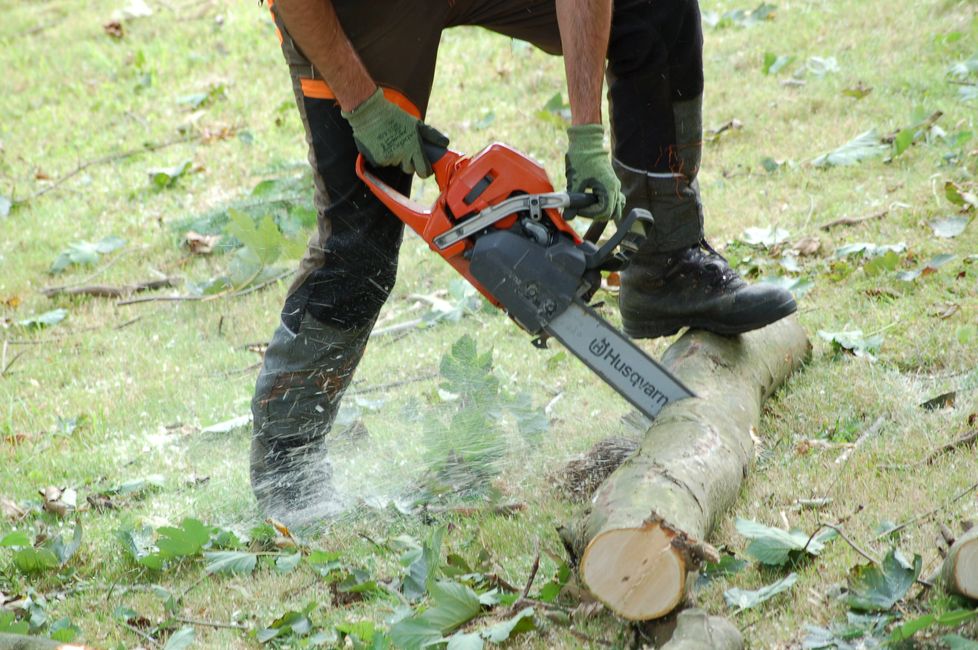 Chainsaw cutting tree log on grass