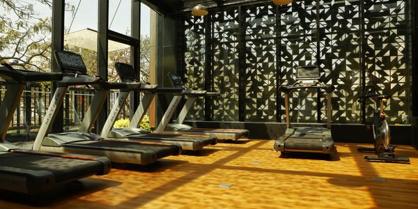 Modern gym with treadmills and a stationary bike in natural light.