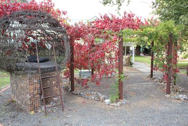 A cozy outdoor seating area with a unique woven chair and vibrant climbing plants.
