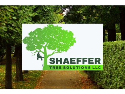 Shaeffer Tree Solutions logo