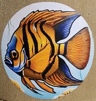 Empire of Dirt Aquatics