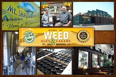 Home of Weed Ales & Lagers banner