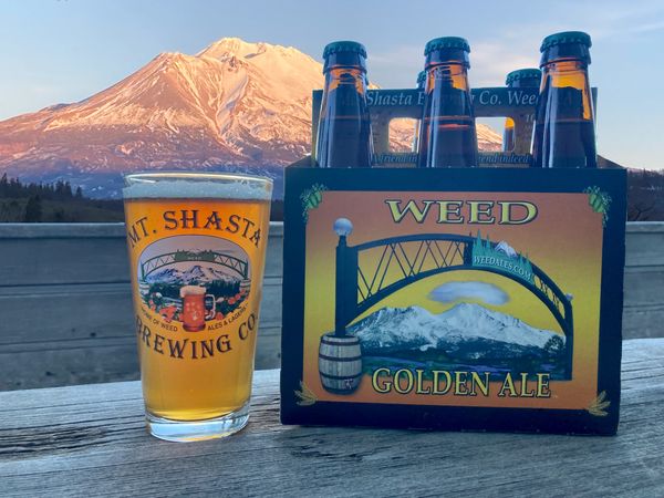 6-pack of Golden Ale in front of Mt. Shasta