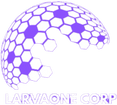 LarvaOne