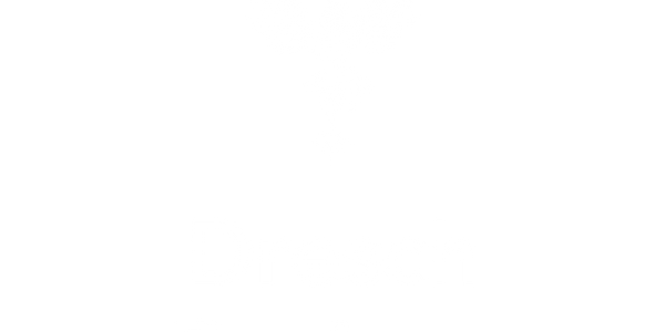 Logo of Dresch Designs featuring a stylized bird and bold text.