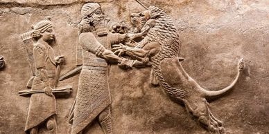 500 BC - Bas-relief in the British Museum of an Assyrian lion hunt