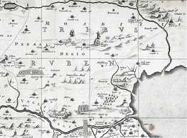 1869 - Detailed map of Reuben (Thomas Fuller, 1869; east is at the top)