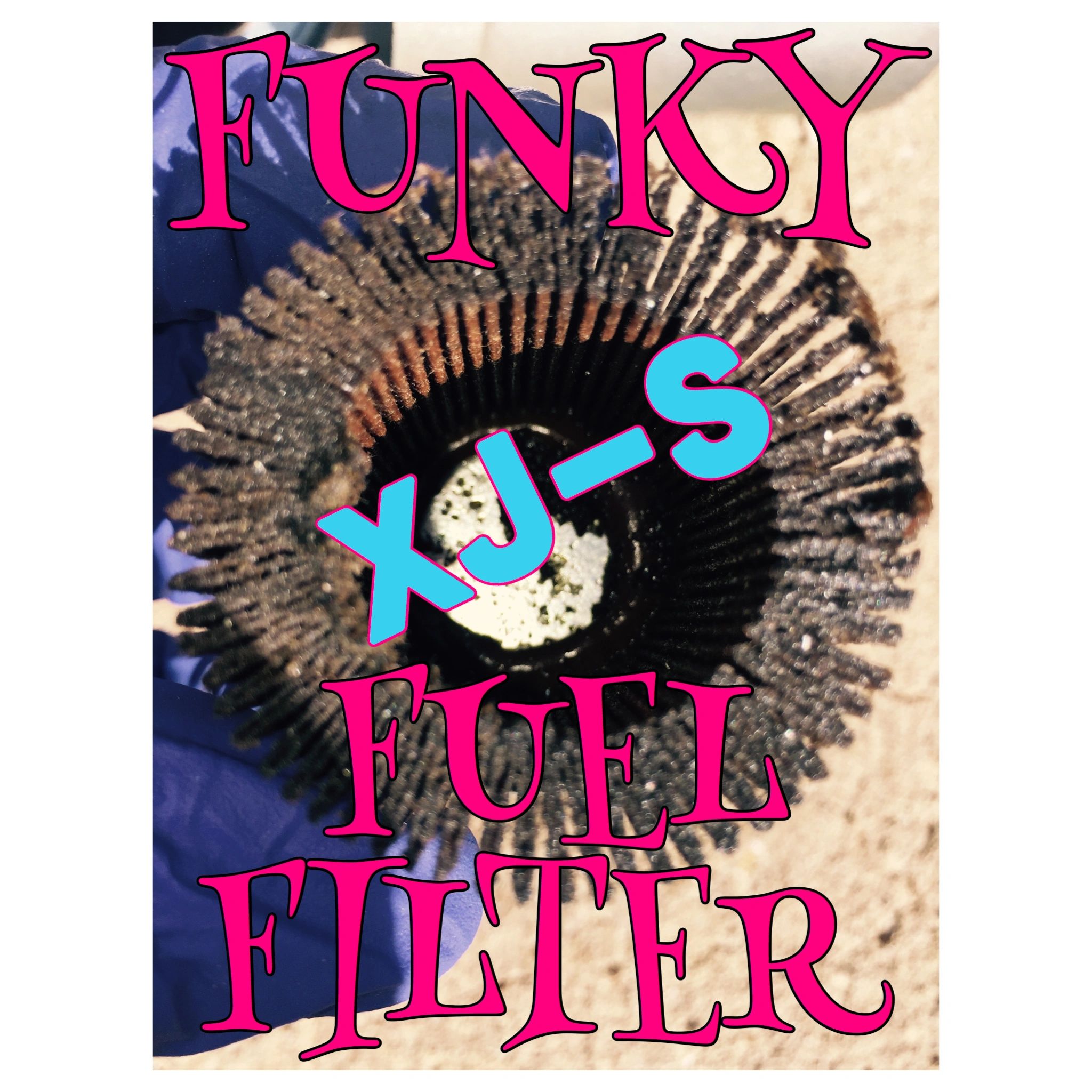 Here’s what your DIRTY XJS FUEL FILTER looks like...