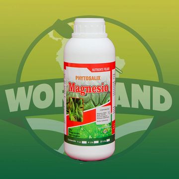 Producto de botella Magnesio