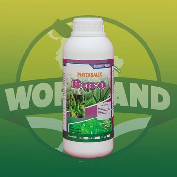 Producto de botella Boro