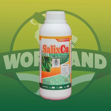 Producto de botella Salixcu