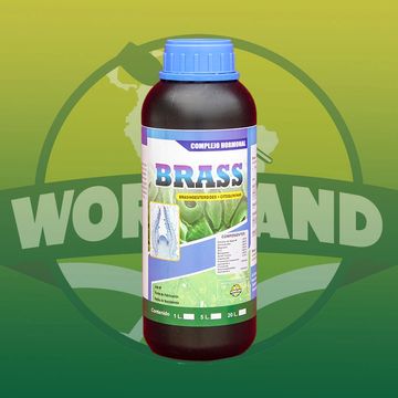 Producto de botella Brass