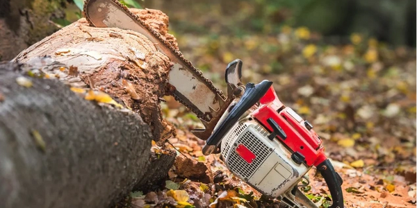 image of chainsaw in log