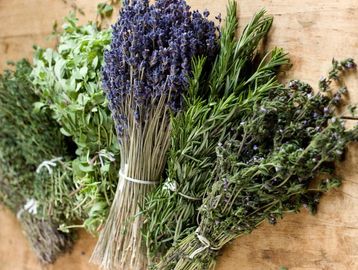 a bunch of herbs