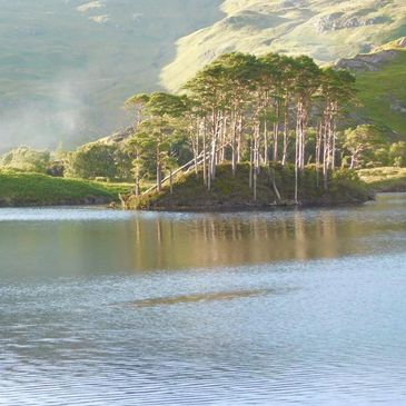 Dumbledore's Final Resting Place, Loch Eilt, West Highland Line, Harry Potter, Jacobite Steam Train, Mallaig, 