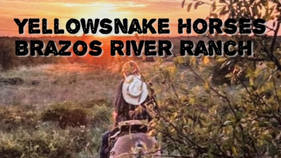 Welcome to 
Yellowsnake Horses Brazos River Ranch 
