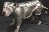 Armour Dog Body Armor