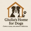 Giulia's Home for Dogs