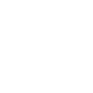 SLE Properties 