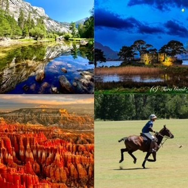 Collage of nature scenes and a polo player on horseback.