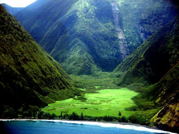 Big Island Landscaper