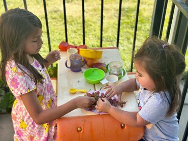two children sitting at picnic table with grapes 