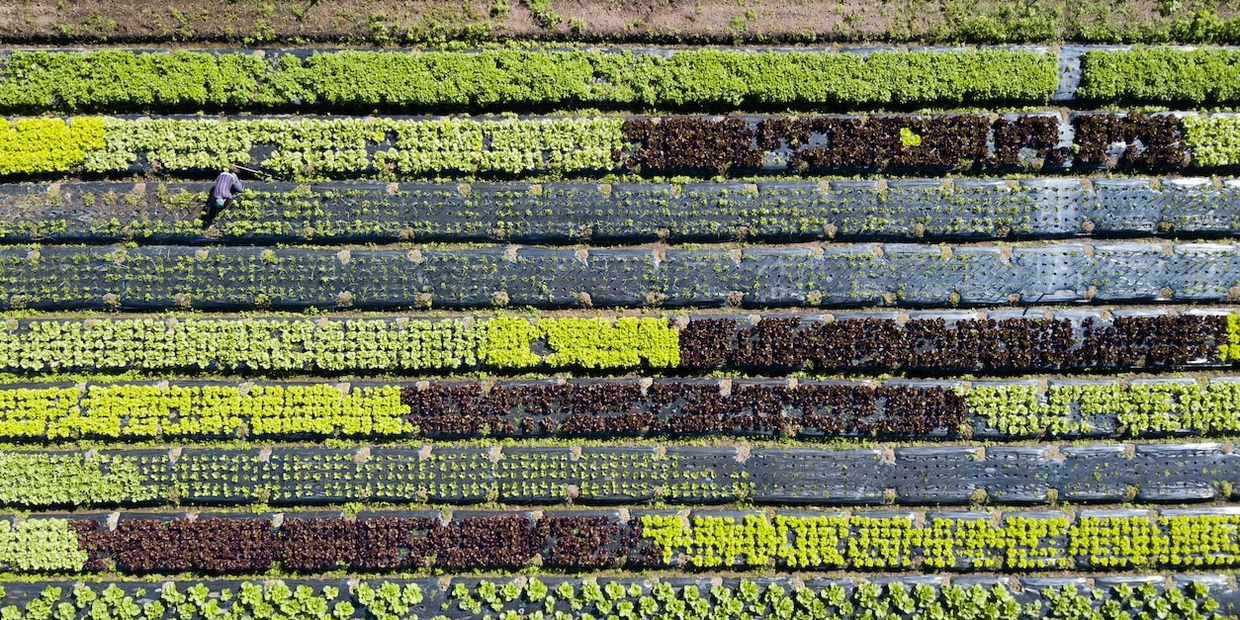 Our Commitment | Global importer, exporter, and wholesale distributor | KENEFIELD