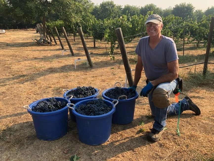 Our Story 3 Oaks Vineyard