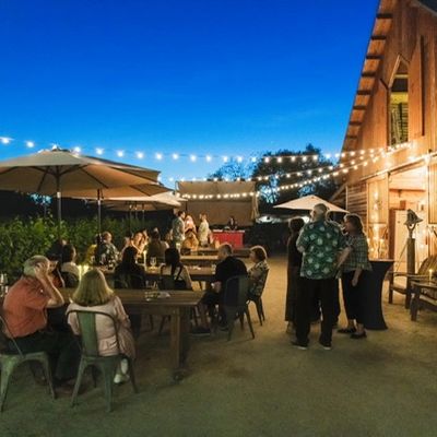 People enjoying an outdoor evening gathering under string lights.
