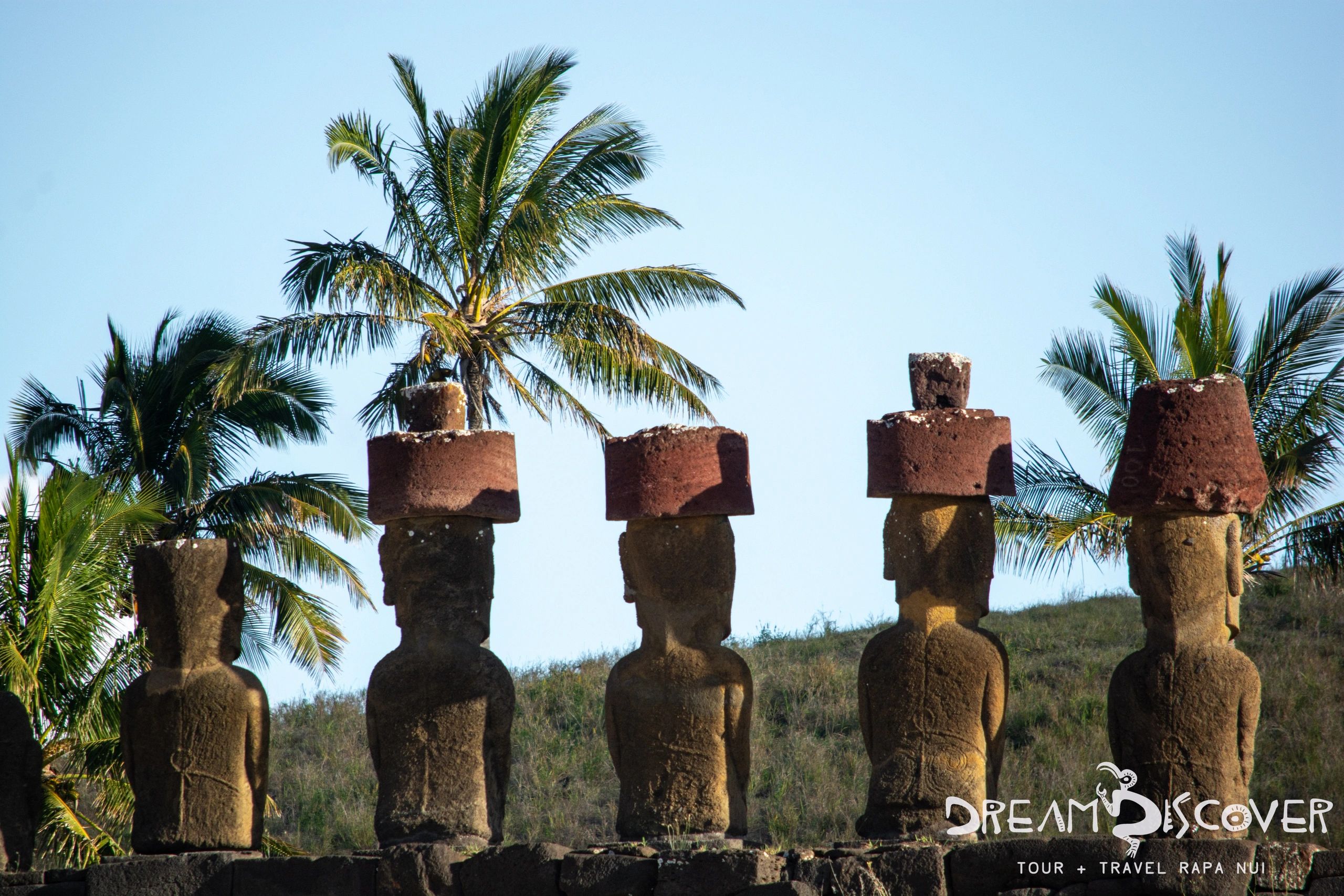 Rapa Nui Dream