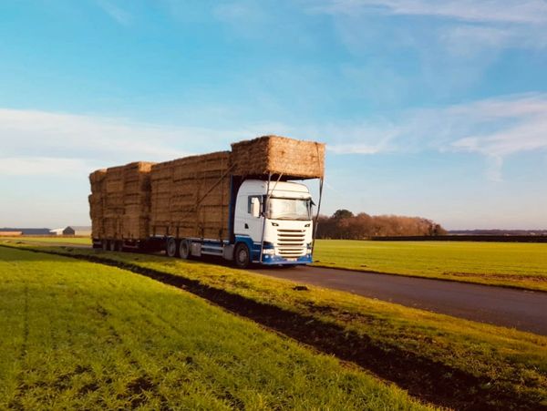A truck transporting hay, straws