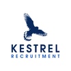 Kestrel Recruitment
IT & Engineering  New website coming soon