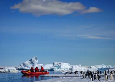 Iceberg cruise 