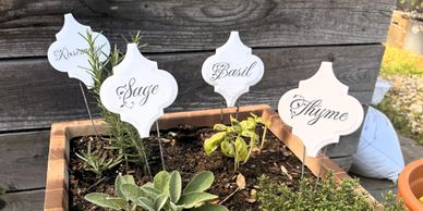 Herb garden with labeled plants in wooden planter box.